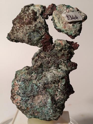 Cobre, Malaquita<br />Mina Montecatini, Montecatini Val di Cecina, Provincia Pisa, Toscana, Italia<br />78 x 52 mm<br /> (Autor: Sante Celiberti)