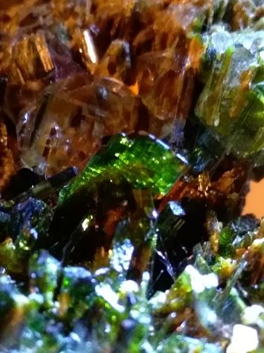 Epidote, Quartz<br />Glaciar Miage, Valle Veny, Macizo Monte Bianco (Macizo Mont Blanc), Courmayeur, Valle de Aosta (Val d'Aosta), Italia<br />76,7 x 58 mm<br /> (Author: Sante Celiberti)