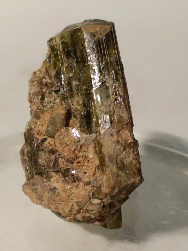 Epidote<br />Bellecombe, Châtillon, Valle de Aosta (Val d'Aosta), Italia<br />36,7 x 23,6 mm<br /> (Author: Sante Celiberti)