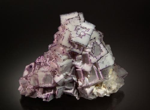 Fluorite<br />Mina Qinglong, Dachang, Qinglong, Prefectura Autónoma Qianxi'nan, Provincia Guizhou, China<br />7.5 cm x 9.5 cm<br /> (Author: Michael Shaw)