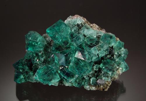 Fluorite<br />Mina Rogerley, Mina Diana Maria (filón Sutcliffe), Frosterley, Weardale, North Pennines Orefield, County Durham, Inglaterra / Reino Unido<br />6.7 x 4.5 cm.<br /> (Author: Michael Shaw)