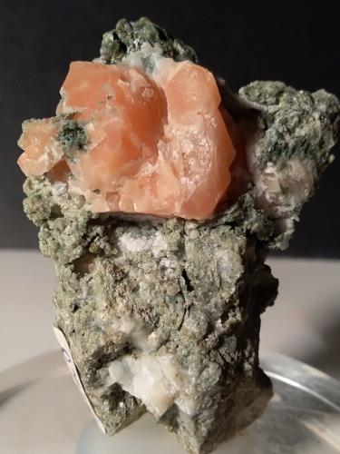 Anorthite<br />Montes Monzoni, Valle Fassa, Provincia Trento, Trentino-Alto Adige (Trentino-Südtirol), Italia<br />47 x 39 mm<br /> (Author: Sante Celiberti)