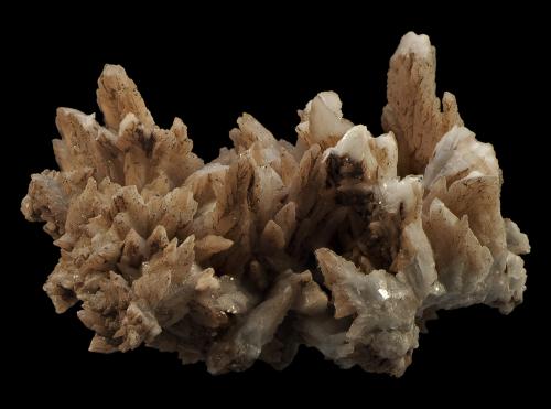 Calcite<br />Příbram, Región Bohemia Central, Bohemia, República Checa<br />65 x 40 x 30 mm<br /> (Author: Rob Schnerr)