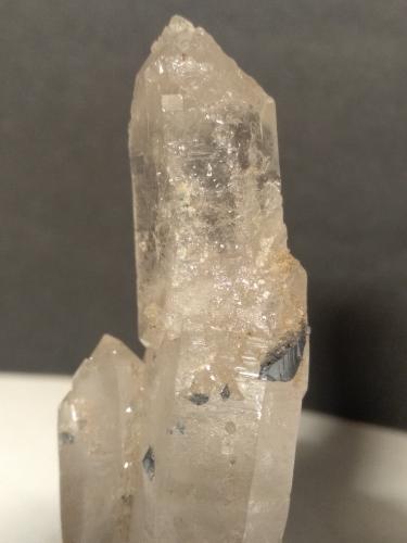 Anatase, Quartz<br />Glaciar Brenva, Valle Veny, Macizo Monte Bianco (Macizo Mont Blanc), Courmayeur, Valle de Aosta (Val d'Aosta), Italia<br />77 x 32 mm<br /> (Author: Sante Celiberti)