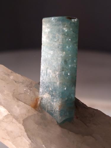 Beryl (variety aquamarine), Quartz<br />Valle Codera, Novate Mezzola, Valchiavenna, Sondrio, Lombardía, Italia<br />93 x 38 mm<br /> (Author: Sante Celiberti)