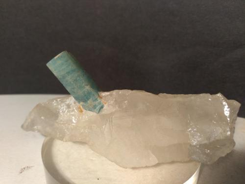 Beryl (variety aquamarine), Quartz<br />Valle Codera, Novate Mezzola, Valchiavenna, Sondrio, Lombardía, Italia<br />93 x 38 mm<br /> (Author: Sante Celiberti)