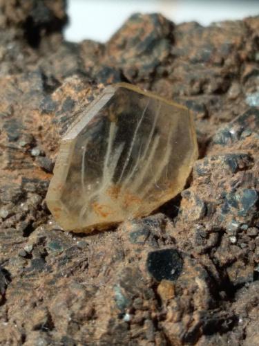 Titanite, Chlorite (Group)<br />Valle Gava, Provincia Génova, Liguria, Italia<br />62,5 x 49 mm<br /> (Author: Sante Celiberti)