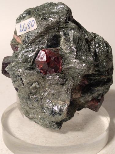 Almandine<br />Granatenkogel cara Sur, Valle Seeber, Moso in Passiria (Moos in Passeier), Provincia Trento, Trentino-Alto Adige (Trentino-Südtirol), Italia<br />68,5 x 56 mm<br /> (Author: Sante Celiberti)