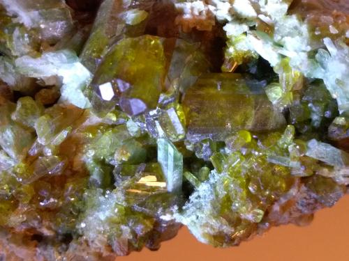 Epidote, Diopside<br />Monte Barbeston, Châtillon, Valle de Aosta (Val d'Aosta), Italia<br />77 x 46 mm<br /> (Author: Sante Celiberti)