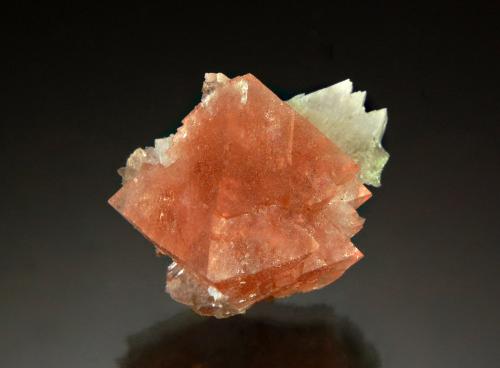 Fluorite<br />Mont Blanc, Chamonix, Haute-Savoie, Auvergne-Rhône-Alpes, Francia<br />2.0 x 2.4 cm<br /> (Author: Michael Shaw)