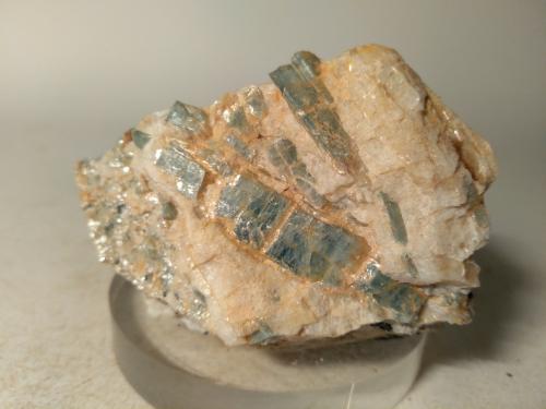 Chloritoid, Kyanite<br />Colle di Cervetto, Sampeyre, Provincia Cuneo, Piamonte (Piemonte), Italia<br />66 x 46 mm<br /> (Author: Sante Celiberti)