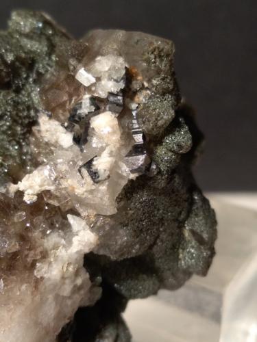 Anatase, Quartz, Chlorite<br />La Thuile, Valle de Aosta (Val d'Aosta), Italia<br />32 x 32 mm<br /> (Author: Sante Celiberti)