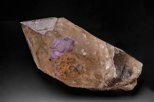 Fluorite, Quartz (variety smoky quartz)<br />Aiguille Verte, Mont Blanc, Chamonix, Haute-Savoie, Auvergne-Rhône-Alpes, Francia<br />14.9 x 7.1 cm<br /> (Author: am mizunaka)