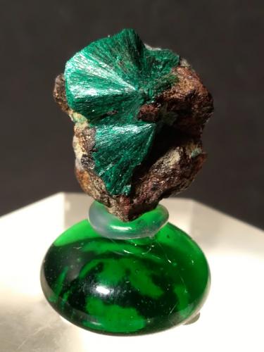 Malachite<br />Lemie, Provincia Ciudad metropolitana de Turín, Piamonte (Piemonte), Italia<br />19 x 16 mm<br /> (Author: Sante Celiberti)