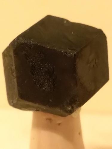 Andradite (variety melanite)<br />Valmalenco, Provincia Sondrio, Lombardía, Italia<br />19 x 15 mm<br /> (Author: Sante Celiberti)