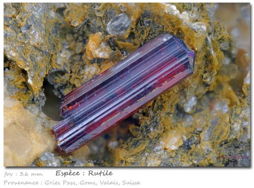 Rutile<br />Felskinn, Glaciar Fee, Saas Fee, Valle Saas, Zermatt - Saas Fee, Wallis (Valais), Suiza<br />fov 3.6 mm<br /> (Author: ploum)