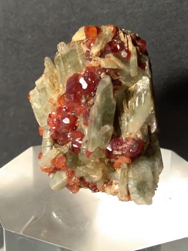 Diopside, Grossular (variety hessonite)<br />Testa Ciarva, Balme, Val d'Ala, Valles Lanzo (Valli di Lanzo), Provincia Ciudad metropolitana de Turín, Piamonte (Piemonte), Italia<br />30 x 22 mm<br /> (Author: Sante Celiberti)