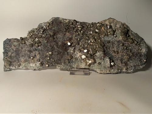 Pyrite, Quartz (variety amethyst)<br />Brosso Mine, Salvere level, Cálea, Léssolo, Canavese District, Metropolitan City of Turin Province, Piedmont (Piemonte), Italy<br />310 x 120 mm<br /> (Author: Sante Celiberti)