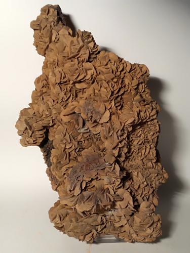 Siderite<br />Mina Brosso, nivel Salvere, Cálea, Léssolo, Distrito Canavese, Provincia Ciudad metropolitana de Turín, Piamonte (Piemonte), Italia<br />260 x 140 mm<br /> (Author: Sante Celiberti)