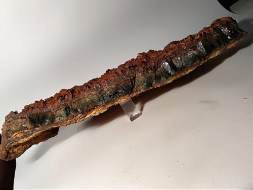 Siderite, Hematite, Talc<br />Mina Brosso, nivel Salvere, Cálea, Léssolo, Distrito Canavese, Provincia Ciudad metropolitana de Turín, Piamonte (Piemonte), Italia<br />380 x 150 mm<br /> (Author: Sante Celiberti)