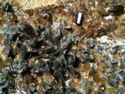 Diopside, Epidote<br />Val di Viù, Valles Lanzo (Valli di Lanzo), Provincia Ciudad metropolitana de Turín, Piamonte (Piemonte), Italia<br />290 x 100 mm<br /> (Author: Sante Celiberti)