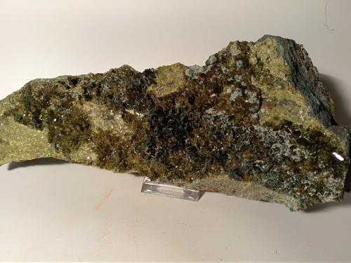 Diopside, Epidote<br />Val di Viù, Valles Lanzo (Valli di Lanzo), Provincia Ciudad metropolitana de Turín, Piamonte (Piemonte), Italia<br />290 x 100 mm<br /> (Author: Sante Celiberti)