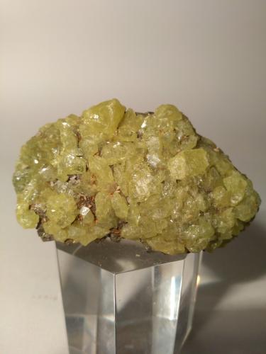 Sulphur, Pyrite<br />Mina Niccioleta, Massa Marittima, Provincia Grosseto, Toscana, Italia<br />59 x 35 mm<br /> (Author: Sante Celiberti)