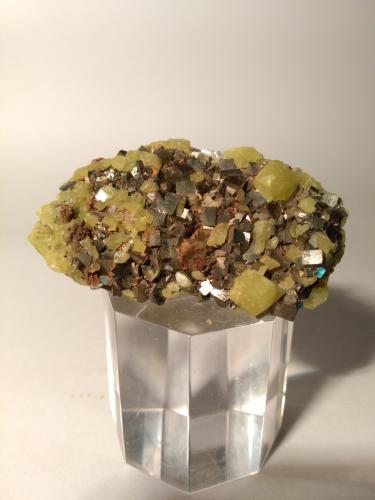 Sulphur, Pyrite<br />Mina Niccioleta, Massa Marittima, Provincia Grosseto, Toscana, Italia<br />59 x 35 mm<br /> (Author: Sante Celiberti)