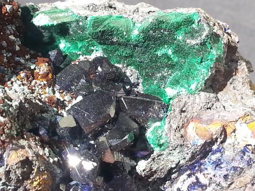 Azurite and Malachite on Cuprite<br />Mina Tongshan, Distrito Guichi, Prefectura Chizhou, Provincia Anhui, China<br />8 x 5 cm<br /> (Author: Volkmar Stingl)