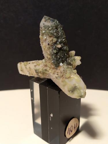 Sulphur, Quartz<br />Mina Gavorrano, Gavorrano, Provincia Grosseto, Toscana, Italia<br />38 x 28 mm<br /> (Author: Sante Celiberti)