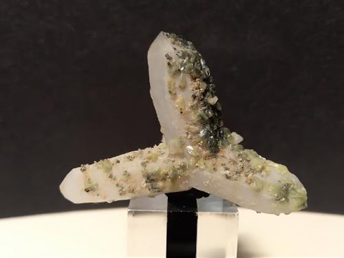 Sulphur, Quartz<br />Mina Gavorrano, Gavorrano, Provincia Grosseto, Toscana, Italia<br />38 x 28 mm<br /> (Author: Sante Celiberti)