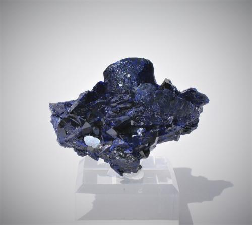 Azurite<br />Mina Milpillas, Cuitaca, Municipio Santa Cruz, Sonora, México<br />60mm x45mm x 30mm<br /> (Author: Philippe Durand)