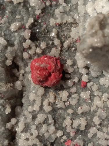 Cinnabar, Dolomite<br />Mina Siele, Monte Amiata, Piancastagnaio, Provincia Siena, Toscana, Italia<br />13 x 11 cm<br /> (Author: Sante Celiberti)