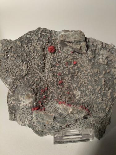 Cinnabar, Dolomite<br />Mina Siele, Monte Amiata, Piancastagnaio, Provincia Siena, Toscana, Italia<br />13 x 11 cm<br /> (Author: Sante Celiberti)