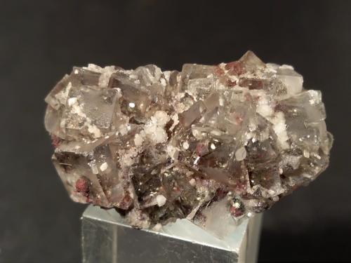 Cinnabar, Fluorite, Pyrite<br />Mina Morone (Mina Selvena), Monte Amiata, Castell'Azzara, Provincia Grosseto, Toscana, Italia<br />29 x 19 mm<br /> (Author: Sante Celiberti)