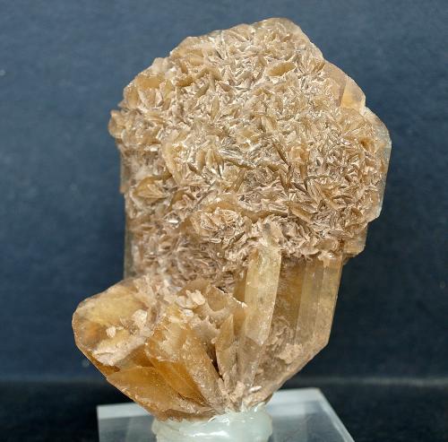 Yeso<br />Fortuna, Comarca Oriental, Región de Murcia (Murcia), España<br />8.5 x 6 cm<br /> (Autor: Pedro Antonio)