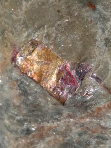 Cinnabar on Pyrite<br />Mina Levigliani, Sant'Anna (Sant'Anna di Stazzema), Alpes Apuanos, Municipio Stazzema, Provincia Lucca, Toscana, Italia<br />92 x 52 mm<br /> (Author: Sante Celiberti)