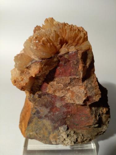 Cinnabar, Calcite<br />Mina Pereta, Pereta, Magliano in Toscana, Provincia Grosseto, Toscana, Italia<br />12,5 x 10 cm<br /> (Author: Sante Celiberti)