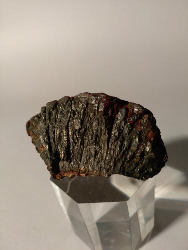 Cinnabar, Marcasite<br />Mina Monte Labbro, Monte Amiata, Santa Fiora, Provincia Grosseto, Toscana, Italia<br />50 x 34 mm<br /> (Author: Sante Celiberti)