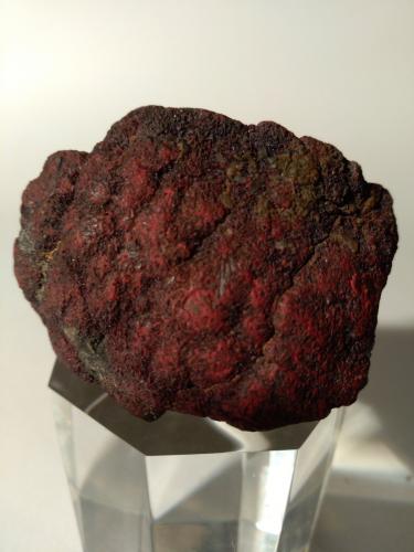 Cinnabar, Marcasite<br />Mina Monte Labbro, Monte Amiata, Santa Fiora, Provincia Grosseto, Toscana, Italia<br />50 x 34 mm<br /> (Author: Sante Celiberti)