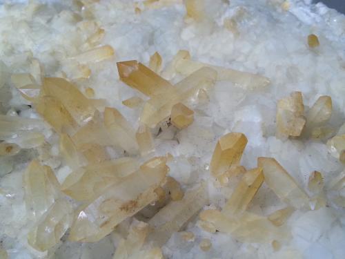 Quartz (variety rock crystal), Albite, Calcite<br />Valle Schmirn, Tirol Norte, Tirol, Austria<br />Length about 63 cm<br /> (Author: Volkmar Stingl)