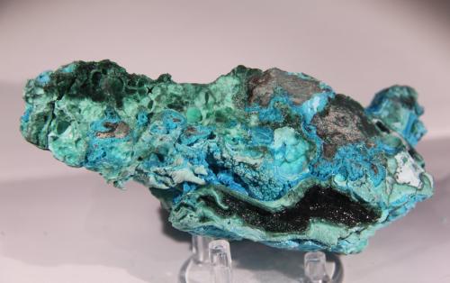 Chrysocolla and Malachite<br />Mina L'Etoile du Congo, Lubumbashi (Elizabethville), Cinturón de cobre de Katanga, Haut-Katanga (Shaba), República Democrática del Congo (Zaire)<br />121mm x 56mm x 65mm<br /> (Author: Firmo Espinar)