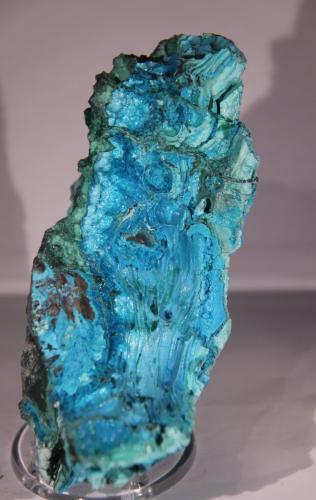 Chrysocolla<br />Mina L'Etoile du Congo, Lubumbashi (Elizabethville), Cinturón de cobre de Katanga, Haut-Katanga (Shaba), República Democrática del Congo (Zaire)<br />56mm x 121mm x 65mm<br /> (Author: Firmo Espinar)