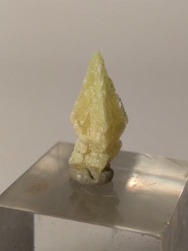 Sulfur<br />Mina Pereta, Pereta, Magliano in Toscana, Provincia Grosseto, Toscana, Italia<br />18 x 8 mm<br /> (Author: Sante Celiberti)