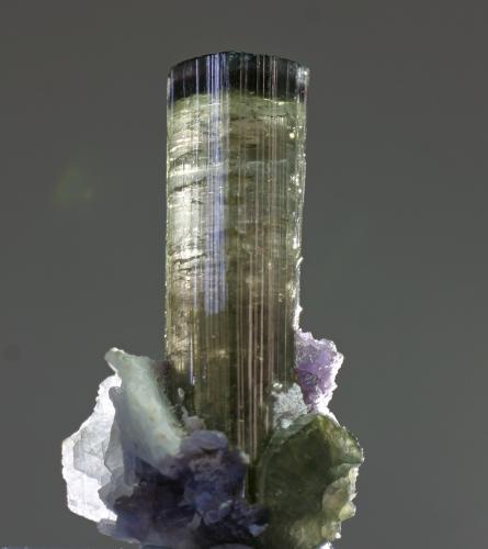 Elbaíta<br />Mina Xanda, Virgem da Lapa, Jequitinhonha, Minas Gerais, Brasil<br />cristal 12x50 mm<br /> (Autor: Ramon A  Lopez Garcia)