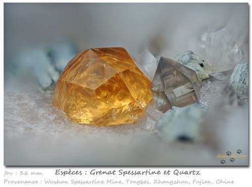 Spessartine and Quartz<br />Catas Spessartina Wushan, Tongbei, Yunxiao, Prefectura Zhangzhou, Provincia Fujian, China<br />fov 3.6 mm<br /> (Author: ploum)