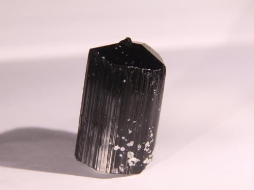 Dravite (Tourmaline Group)<br />Minas Gerais, Brasil<br />22mm x 34mm x 20mm<br /> (Author: Firmo Espinar)