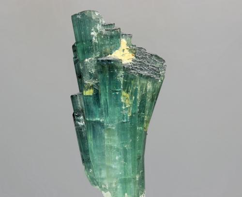 Elbaita (variedad indicolita)<br />Mina Pirineus, Monte Belo, Itinga, Jequitinhonha, Minas Gerais, Brasil<br />cristal 20x45 mm<br /> (Autor: Ramon A  Lopez Garcia)