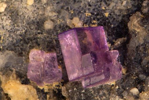 Fluorite<br />Gams bei Hieflau, Landl, Distrito Liezen, Estiria/Steiermark, Austria<br />largest crystal 4 mm<br /> (Author: Gerhard Brandstetter)