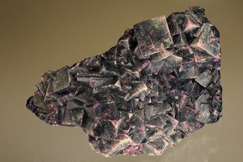 Fluorite<br />Fisura Summit, Zona Pico Weißeck, Murwinkel, Lungau, Salzburgo/Salzburg, Austria<br />13 x 10 cm<br /> (Author: Gerhard Brandstetter)